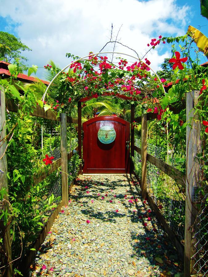 Casa Abundancyah B&B Bocas del Toro Exterior foto