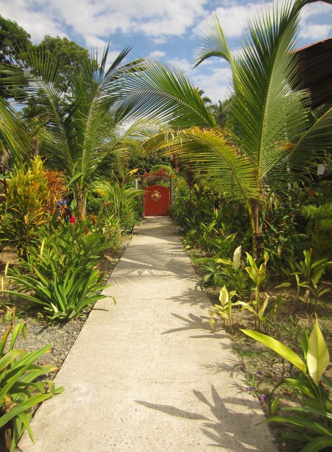 Casa Abundancyah B&B Bocas del Toro Exterior foto